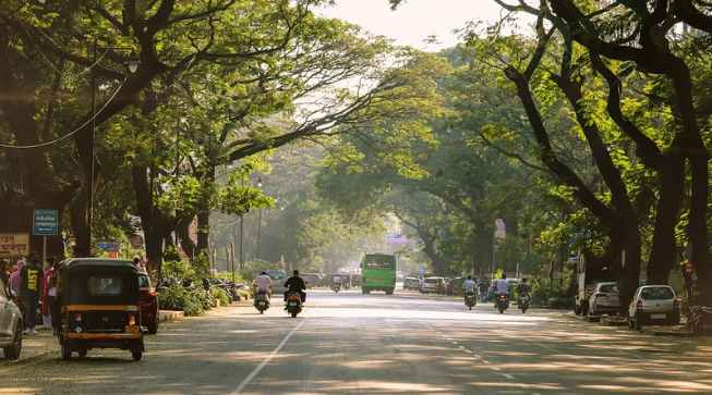 Our Focus: Setting Industry Benchmarks